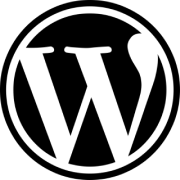 wordpress developer/designer
