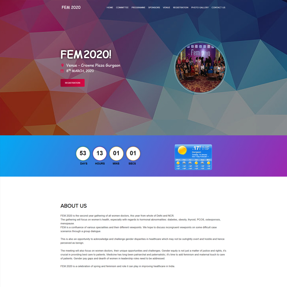 Piyush608 - FEM Website designer